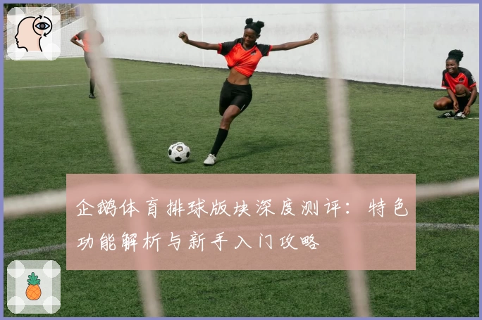 企鹅体育排球版块深度测评：特色功能解析与新手入门攻略