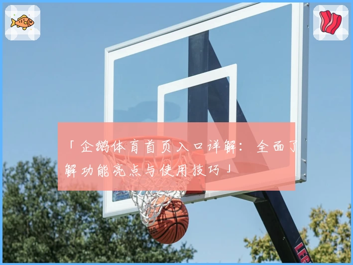 「企鹅体育首页入口详解：全面了解功能亮点与使用技巧」