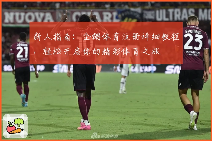 新人指南：企鹅体育注册详细教程，轻松开启你的精彩体育之旅