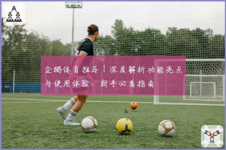 企鹅体育推荐|深度解析功能亮点与使用体验,新手必看指南