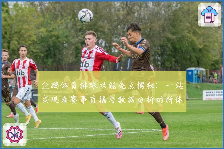 企鹅体育排球功能亮点揭秘：一站式观看赛事直播与数据分析的新体验