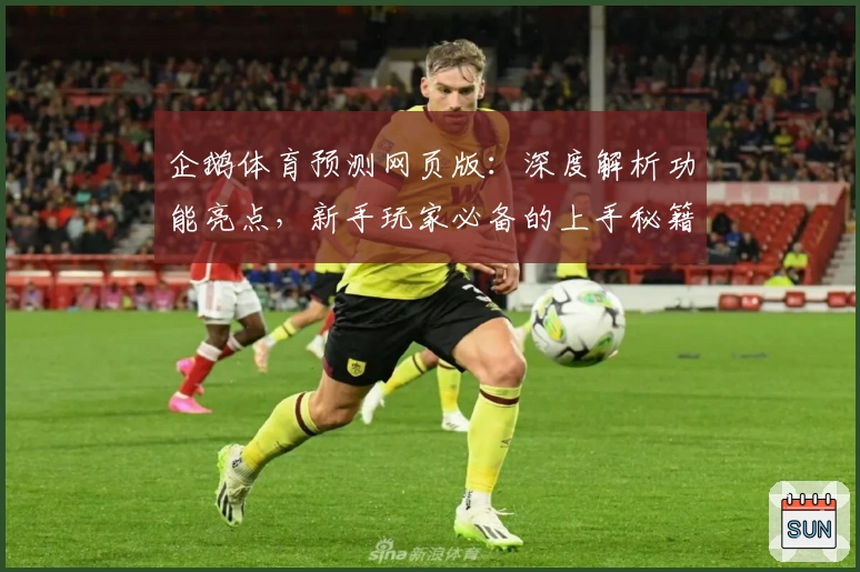 企鹅体育预测网页版：深度解析功能亮点，新手玩家必备的上手秘籍