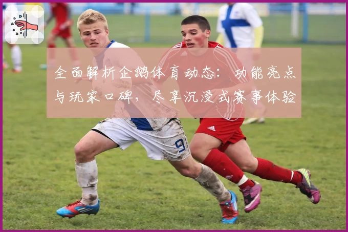 全面解析企鹅体育动态：功能亮点与玩家口碑，尽享沉浸式赛事体验