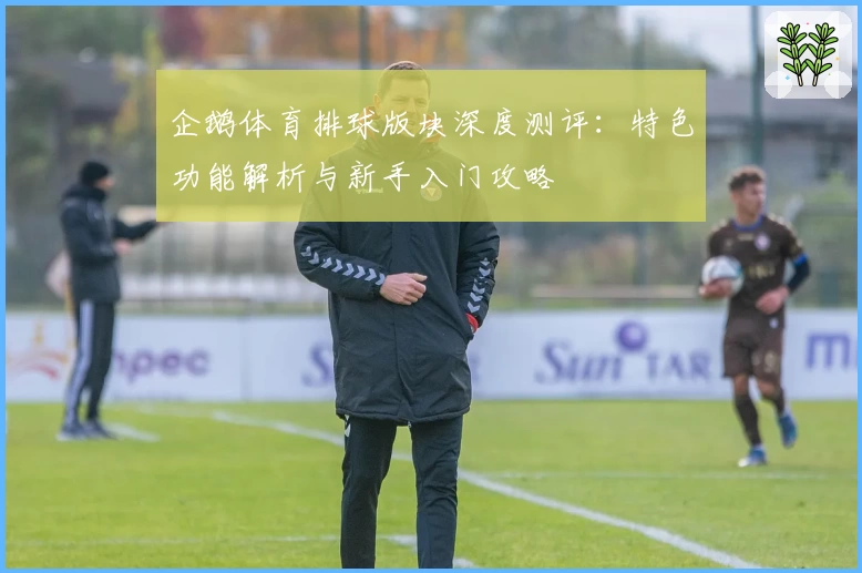 企鹅体育排球版块深度测评：特色功能解析与新手入门攻略