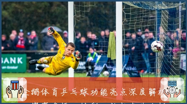 企鹅体育乒乓球功能亮点深度解析：赛事直播、精彩回放与专业分析